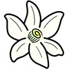 视频看天下极速版